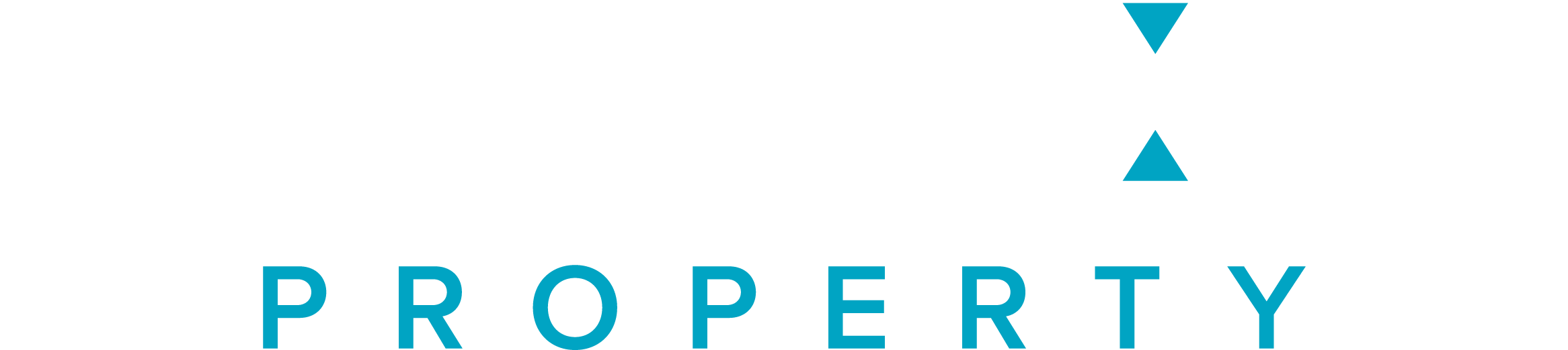 Ryan Dixon Property